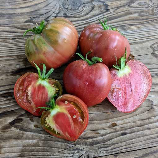 Cherokee Purple Tomato