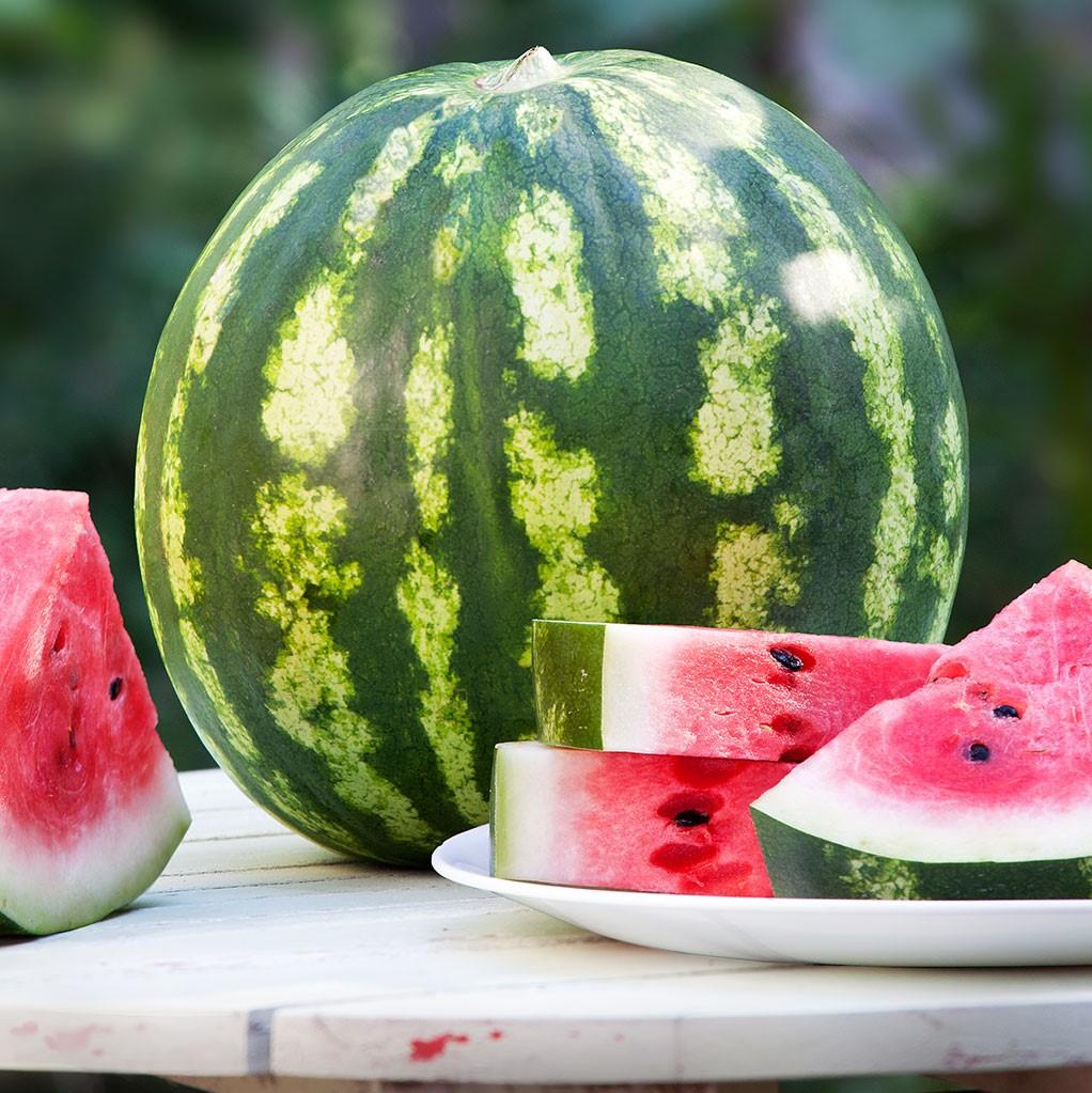 Crimson Sweet Watermelon